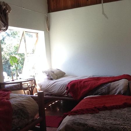 Dijembe Backpackers Lodge Stormsrivier Ngoại thất bức ảnh