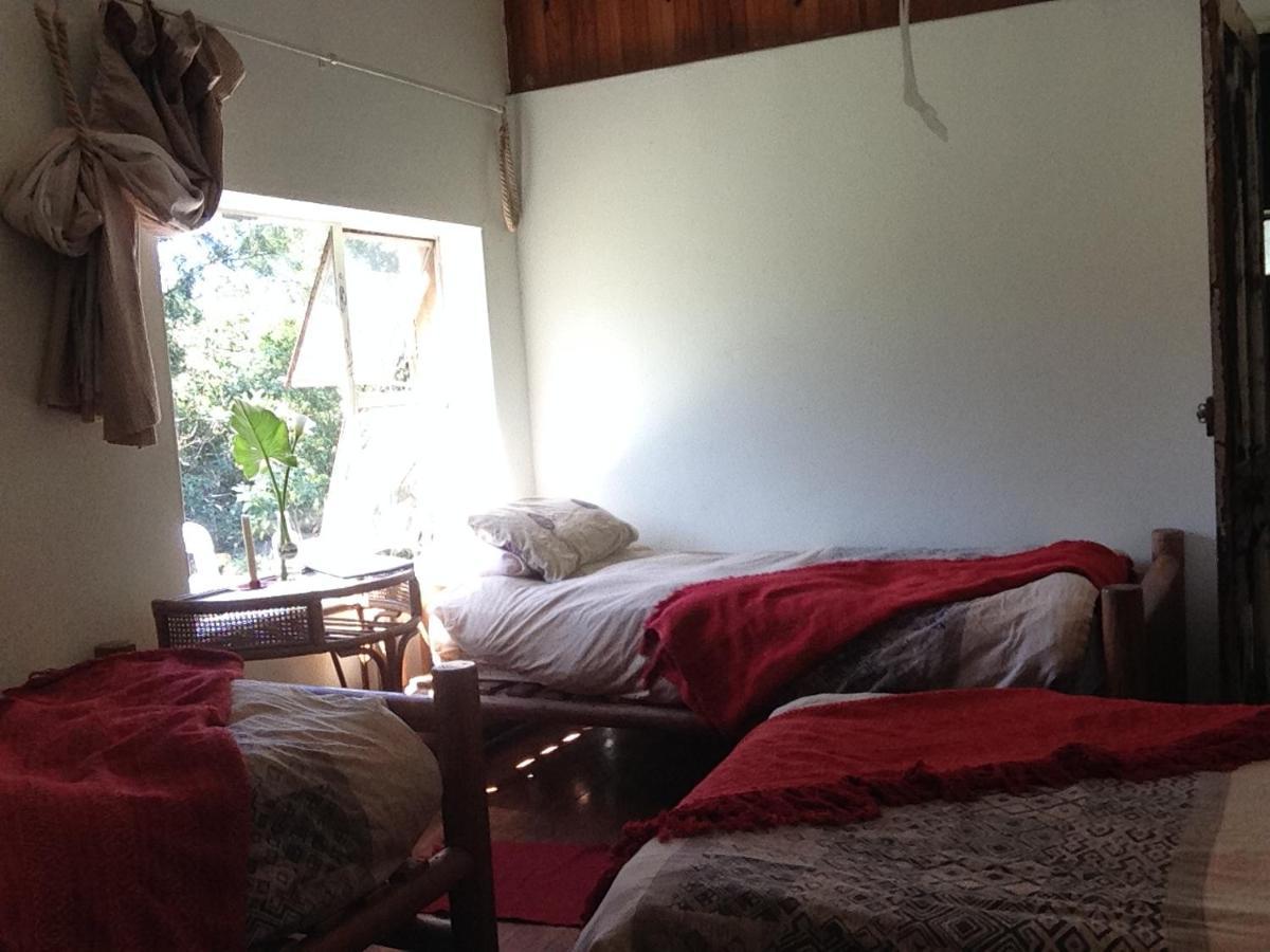Dijembe Backpackers Lodge Stormsrivier Ngoại thất bức ảnh