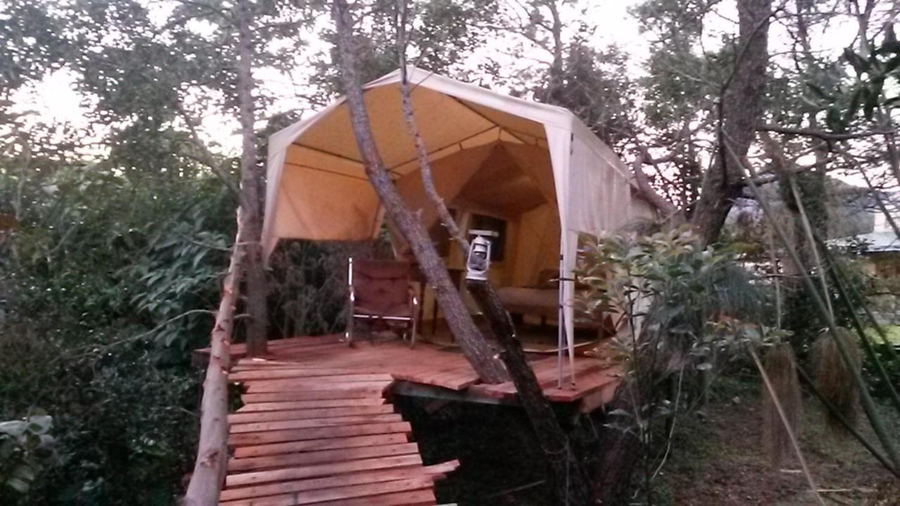 Dijembe Backpackers Lodge Stormsrivier Ngoại thất bức ảnh