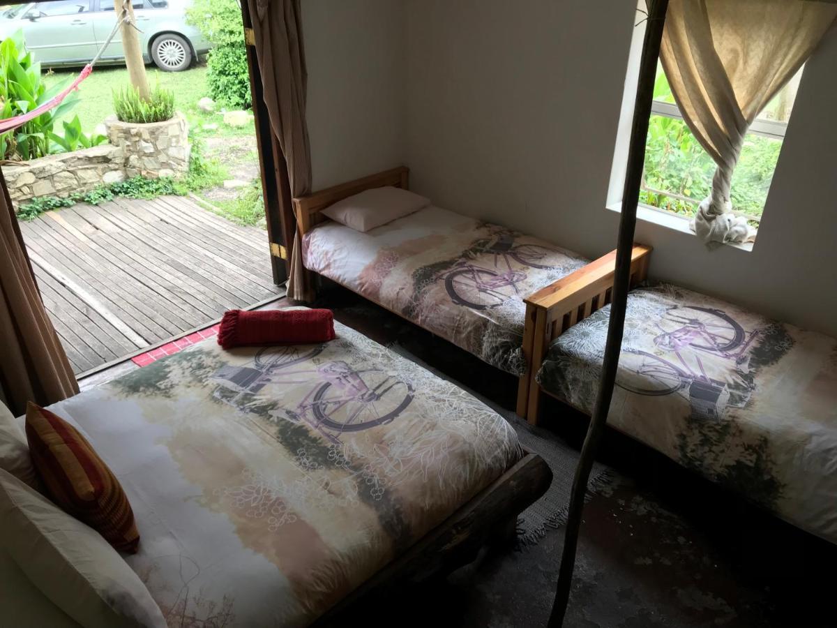 Dijembe Backpackers Lodge Stormsrivier Ngoại thất bức ảnh