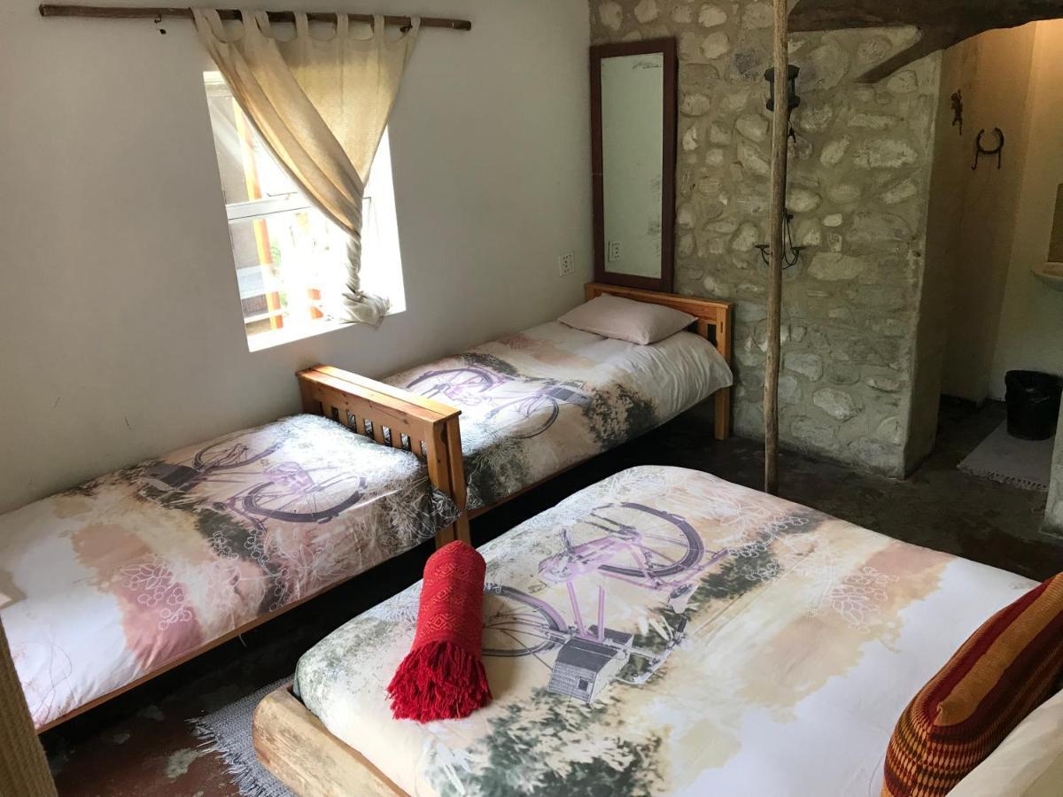 Dijembe Backpackers Lodge Stormsrivier Ngoại thất bức ảnh